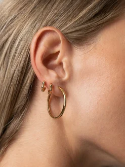 Classic Hoop Earrings - Gold