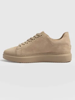 Hampstead Sneaker - Camel Suede